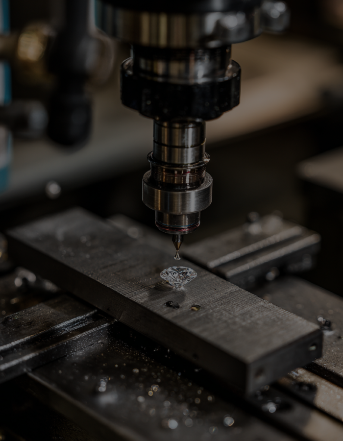 Strength and Function Testing Strength and Function Testing